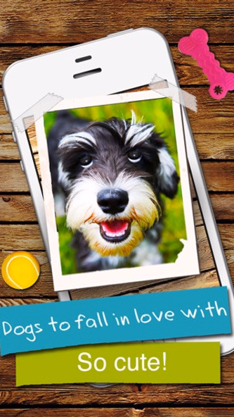 Dogs - Everything for Dog Lovers! Screenshot 4 - AppWisp.com Dogs - Everything for Dog Lovers! Screenshot 4 - AppWisp.com