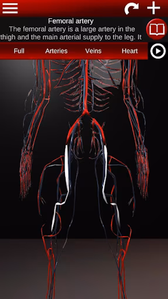 Circulatory System 3D Anatomy Screenshot 4 - AppWisp.com Circulatory System 3D Anatomy Screenshot 4 - AppWisp.com