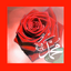 Hz.Muhammed'in Hayatı - AppWisp.com