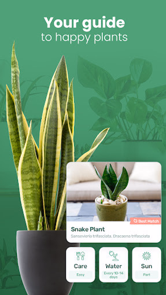 Blossom - Plant Identifier Screenshot 2 - AppWisp.com Blossom - Plant Identifier Screenshot 2 - AppWisp.com