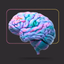 BIOLOGY E THEORIES - AppWisp.com