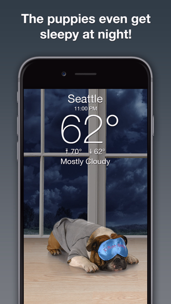 Weather Puppy Forecast + Radar Screenshot 4 - AppWisp.com