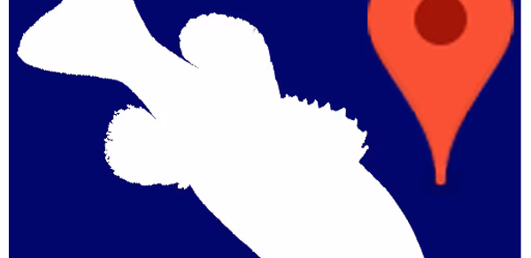 My fishing places GPS Header - AppWisp.com My fishing places GPS Header - AppWisp.com