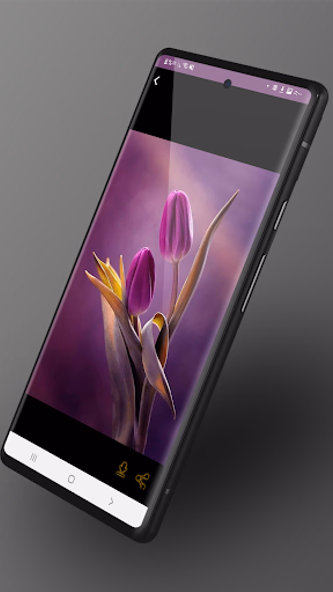 خلفيات ورود : صور ورد وفل Screenshot 3 - AppWisp.com خلفيات ورود : صور ورد وفل Screenshot 3 - AppWisp.com