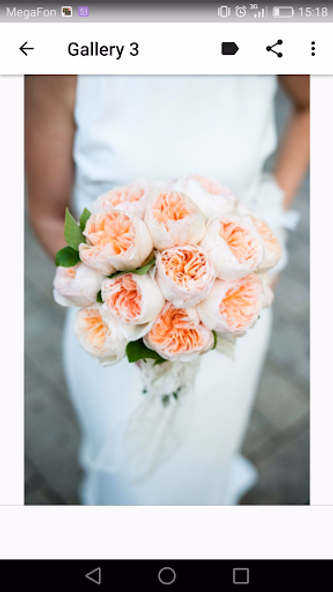 Wedding Bouquets Screenshot 3 - AppWisp.com Wedding Bouquets Screenshot 3 - AppWisp.com