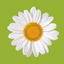 Modern Gardens: Makeover Tips - AppWisp.com