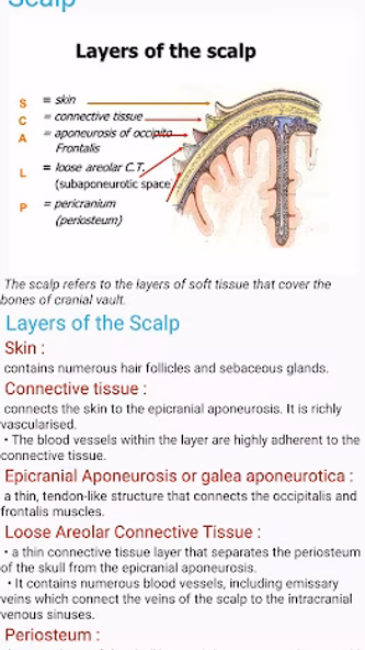 Human Anatomy E Theories Screenshot 2 - AppWisp.com Human Anatomy E Theories Screenshot 2 - AppWisp.com