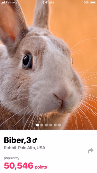 Petsvote Screenshot 4 - AppWisp.com Petsvote Screenshot 4 - AppWisp.com