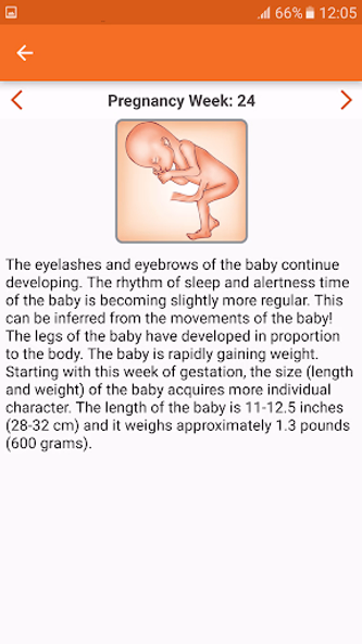 WomanLog Pregnancy Calendar Screenshot 3 - AppWisp.com WomanLog Pregnancy Calendar Screenshot 3 - AppWisp.com