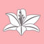 Lilyanna & Co. Boutique - AppWisp.com