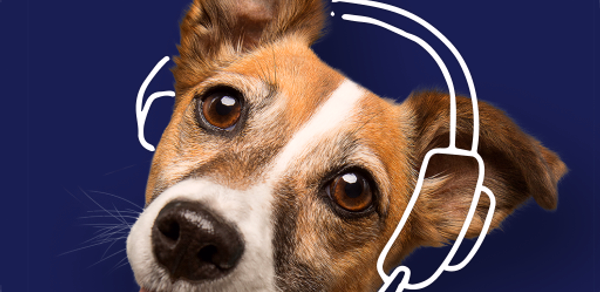 Fetch Pet Insurance Header - AppWisp.com Fetch Pet Insurance Header - AppWisp.com