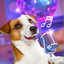 My Pet Singing & Talking - AppWisp.com