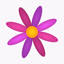 Menstrual Period Tracker - AppWisp.com
