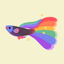Rainbow guppy - AppWisp.com