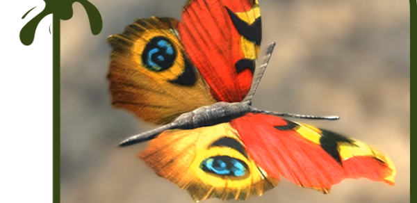 Butterfly Live Wallpaper Theme Header - AppWisp.com Butterfly Live Wallpaper Theme Header - AppWisp.com