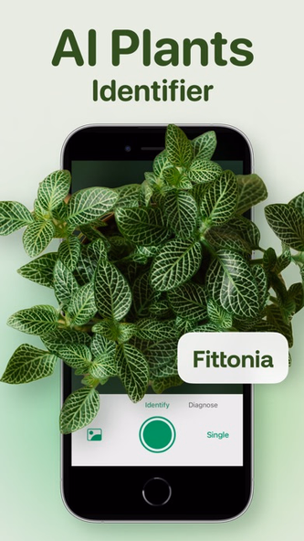 AI Plant Identifier - Plant ID Screenshot 1 - AppWisp.com AI Plant Identifier - Plant ID Screenshot 1 - AppWisp.com