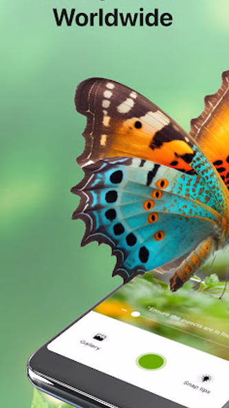 Bug Identifier Bug Finder Screenshot 1 - AppWisp.com Bug Identifier Bug Finder Screenshot 1 - AppWisp.com