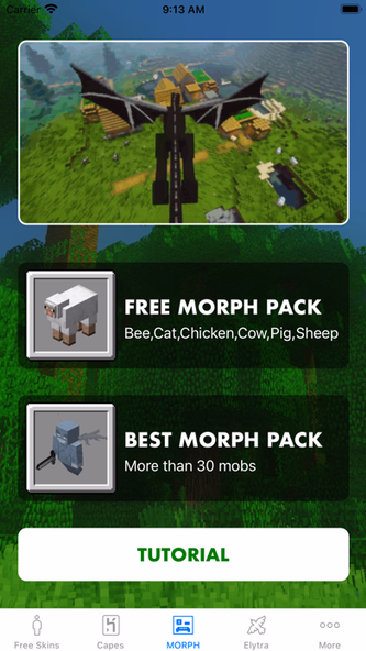 Morph Mod - Mods for Minecraft Screenshot 2 - AppWisp.com Morph Mod - Mods for Minecraft Screenshot 2 - AppWisp.com