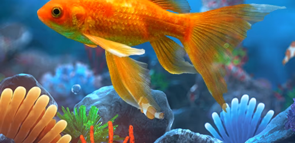 Ocean Live Wallpaper HD Theme Header - AppWisp.com Ocean Live Wallpaper HD Theme Header - AppWisp.com