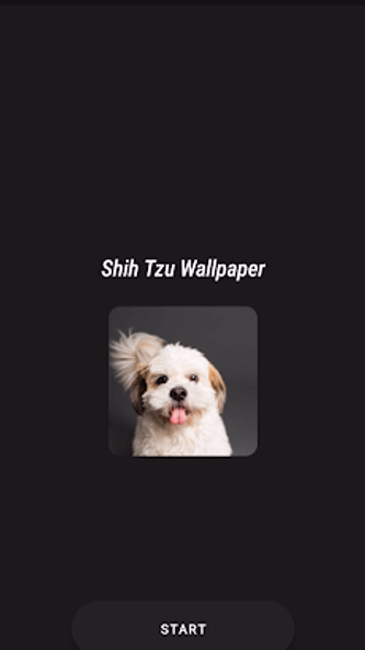 Shih Tzu Wallpaper Screenshot 2 - AppWisp.com Shih Tzu Wallpaper Screenshot 2 - AppWisp.com