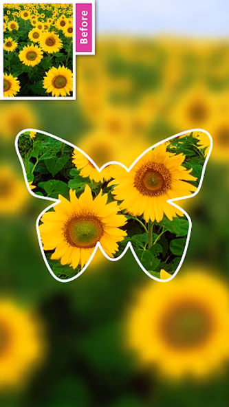 DSLR Blur Background, Bokeh bg Screenshot 2 - AppWisp.com