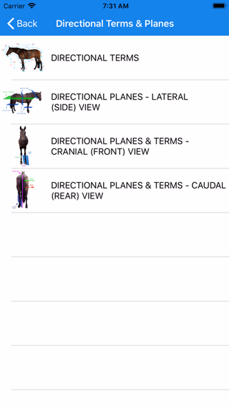 Equine Anatomy Learning Aid Screenshot 2 - AppWisp.com Equine Anatomy Learning Aid Screenshot 2 - AppWisp.com