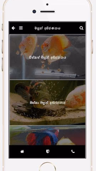 Fish Lover Screenshot 4 - AppWisp.com Fish Lover Screenshot 4 - AppWisp.com
