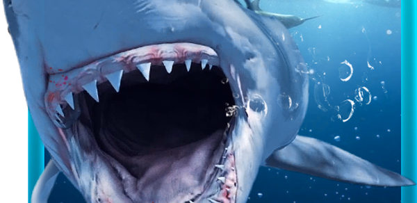 Shark Attack Live Wallpaper HD Header - AppWisp.com Shark Attack Live Wallpaper HD Header - AppWisp.com