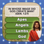 Daily Bible Trivia: Quiz Games - AppWisp.com