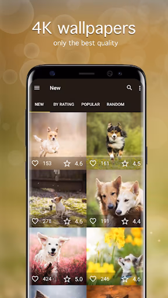 Dog Wallpapers & Puppy 4K Screenshot 2 - AppWisp.com Dog Wallpapers & Puppy 4K Screenshot 2 - AppWisp.com