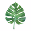 The Nourish Nook - AppWisp.com