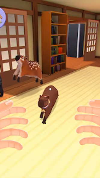 Capybara Simulator: My pets Screenshot 2 - AppWisp.com Capybara Simulator: My pets Screenshot 2 - AppWisp.com