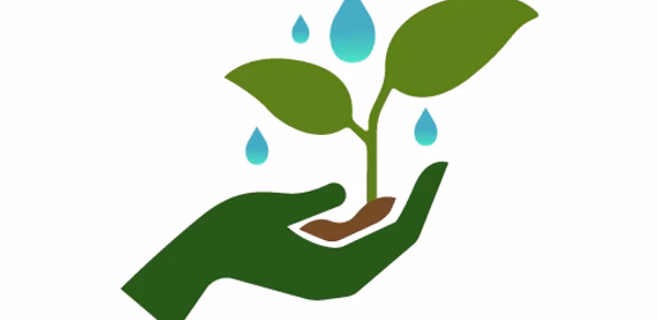 Root Raise: AI Plant Care Header - AppWisp.com Root Raise: AI Plant Care Header - AppWisp.com