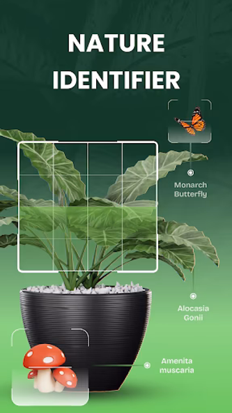 Garden Genie: Plant Identifier Screenshot 2 - AppWisp.com Garden Genie: Plant Identifier Screenshot 2 - AppWisp.com