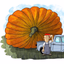 BigPumpkins - AppWisp.com