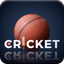 Live Cricket TV Streaming - AppWisp.com