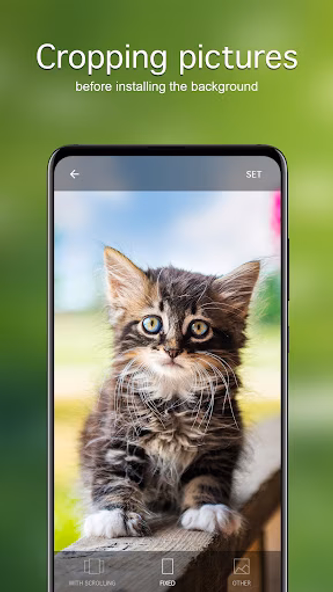 Cat Wallpapers & Cute Kittens Screenshot 4 - AppWisp.com Cat Wallpapers & Cute Kittens Screenshot 4 - AppWisp.com