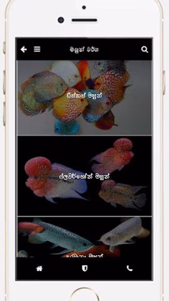 Fish Lover Screenshot 2 - AppWisp.com Fish Lover Screenshot 2 - AppWisp.com
