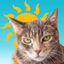 Sunkitty - AppWisp.com