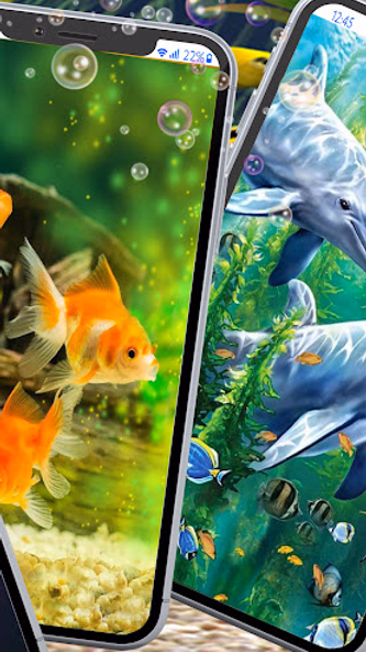 Cute Fish Wallpapers HD Screenshot 2 - AppWisp.com Cute Fish Wallpapers HD Screenshot 2 - AppWisp.com