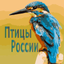 Птицы России - AppWisp.com