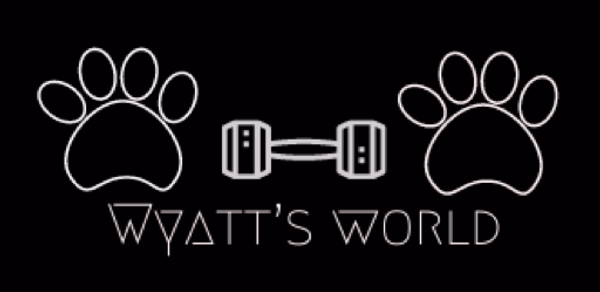 Wyatt’s World Fitness Header - AppWisp.com Wyatt’s World Fitness Header - AppWisp.com