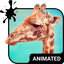 Giraffe Keyboard & Wallpaper - AppWisp.com