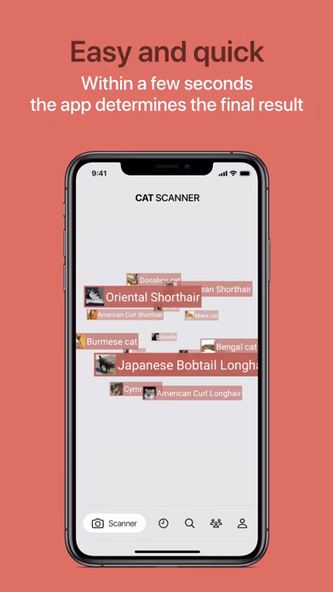 Cat Scanner Screenshot 3 - AppWisp.com Cat Scanner Screenshot 3 - AppWisp.com