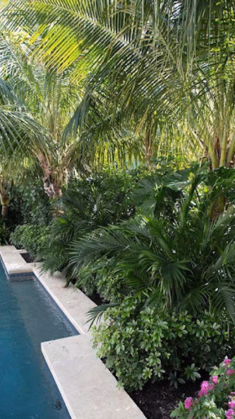 Swimming Pool Landscaping Screenshot 2 - AppWisp.com Swimming Pool Landscaping Screenshot 2 - AppWisp.com