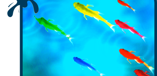 Colorful Fish Wallpaper Theme Header - AppWisp.com Colorful Fish Wallpaper Theme Header - AppWisp.com