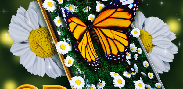 Aesthetic Wallpaper Butterfly Header - AppWisp.com Aesthetic Wallpaper Butterfly Header - AppWisp.com