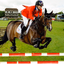 Horse Show Jumping Champions 2 - AppWisp.com