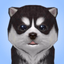 Dog Simulator 2022 - AppWisp.com Dog Simulator 2022 - AppWisp.com