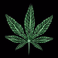 Drogen - ABC - AppWisp.com